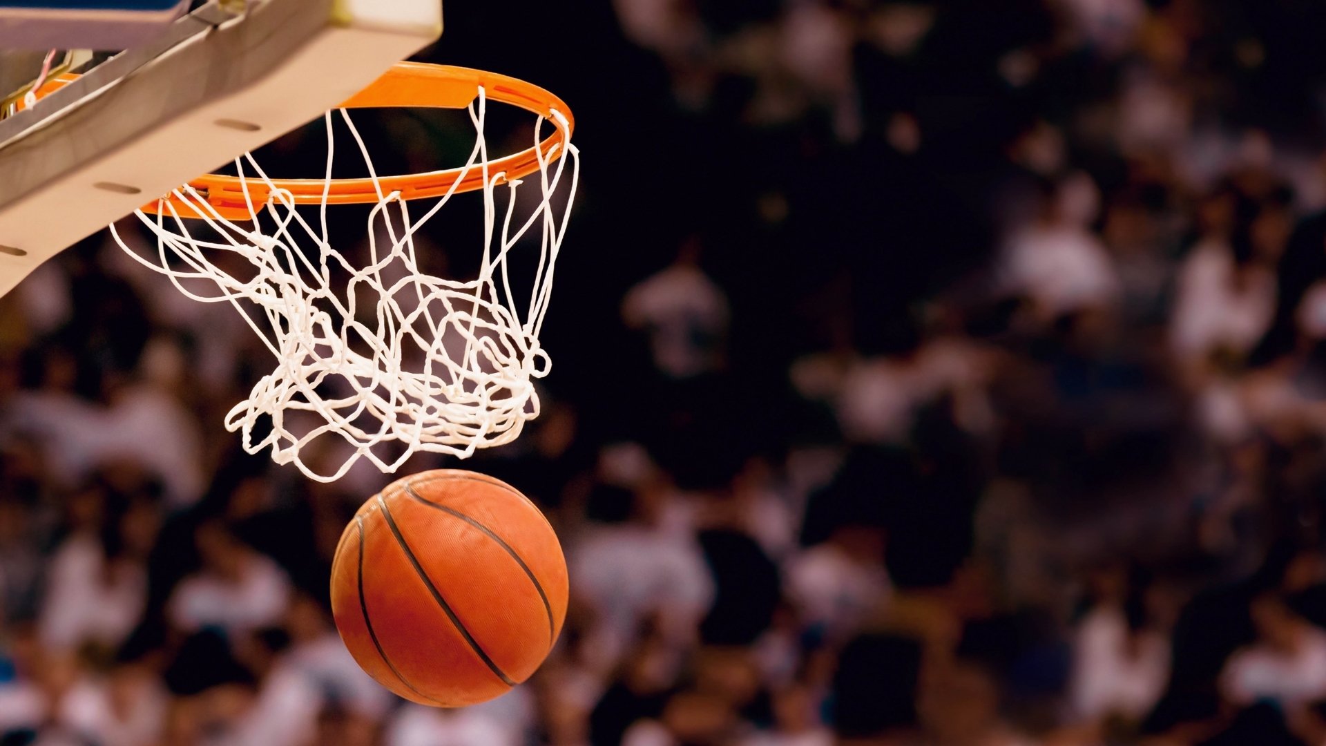 开云平台-猛龙赛后微调战术备战法甲，勒沃库森今晨调整欧冠名单